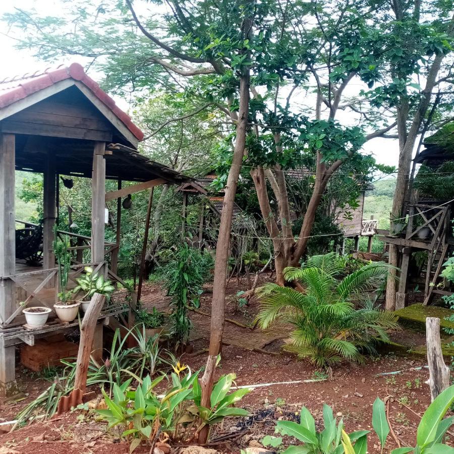 Quiet Garden View Lodge&Trekking Banlung Eksteriør billede