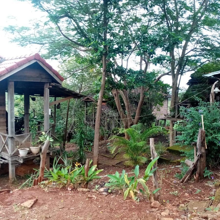 Quiet Garden View Lodge&Trekking Banlung Eksteriør billede